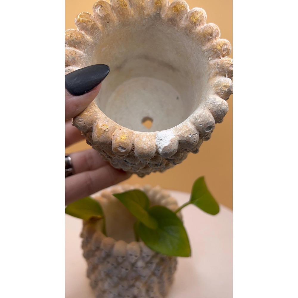 2 skulConcrete Planter – Handmade Cement Pot – Unique Textured– Handmade – - Picture 3 of 6